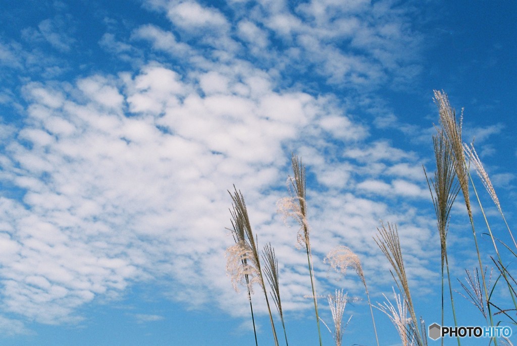 秋の空、安芸の空