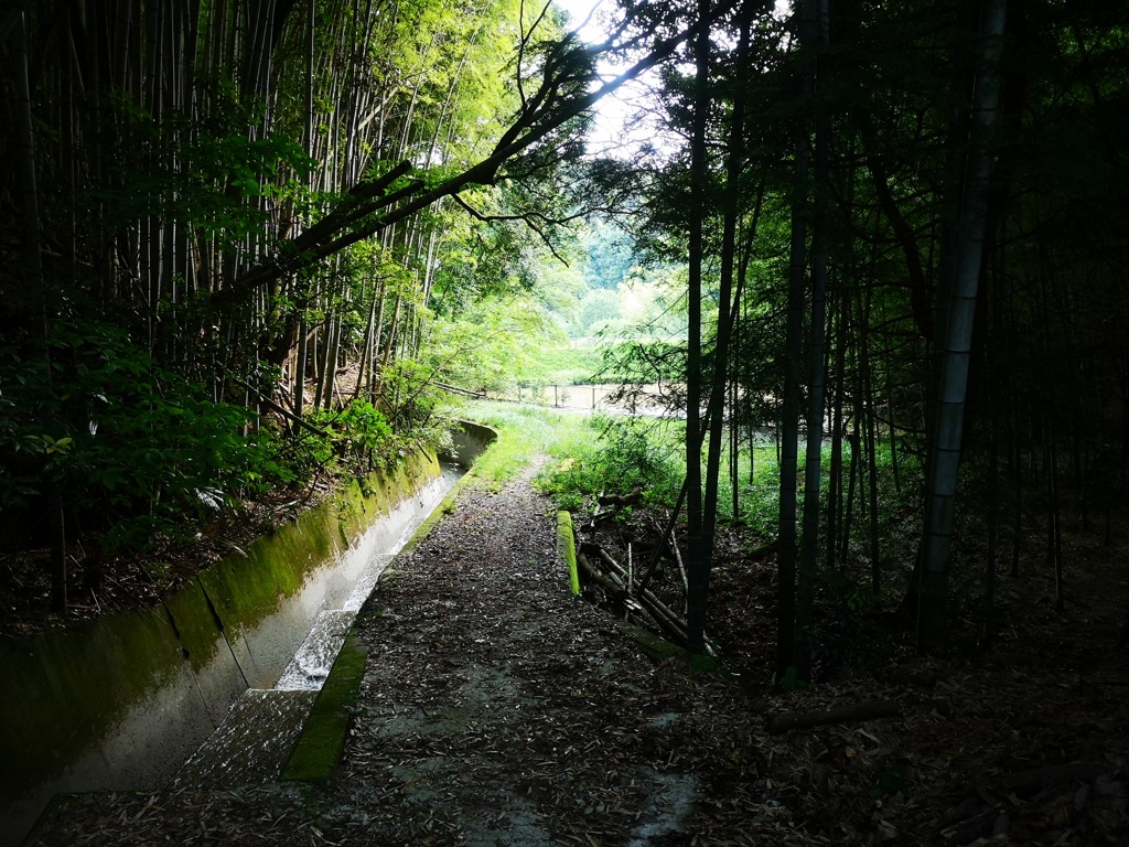 西日本豪雨