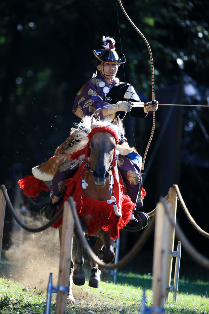 Horses & Archers #2