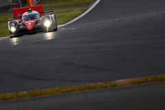 Toyota has come back