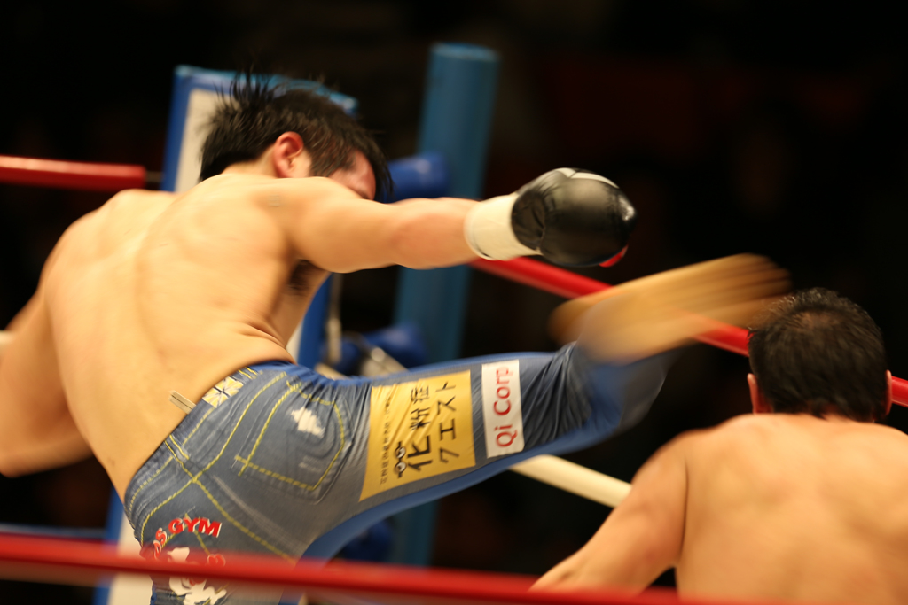 boxers #5