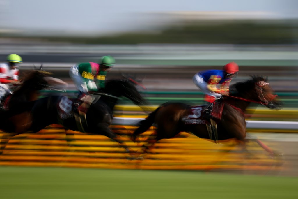 Racing Horses #7