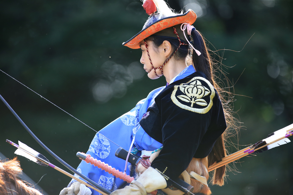 Horses & Archers #3