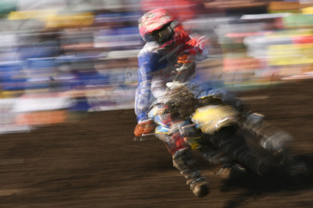 Mud Dogs #16