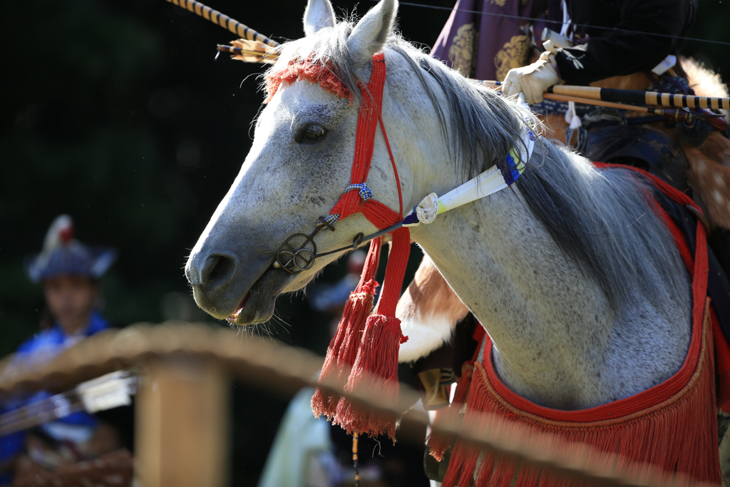 Horses & Archers #11