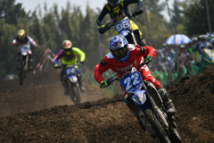 Mud Dogs #2