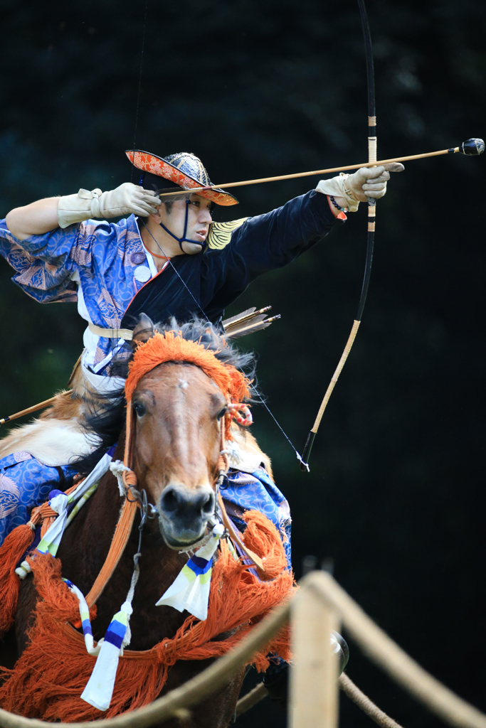 Horses & Archers #5