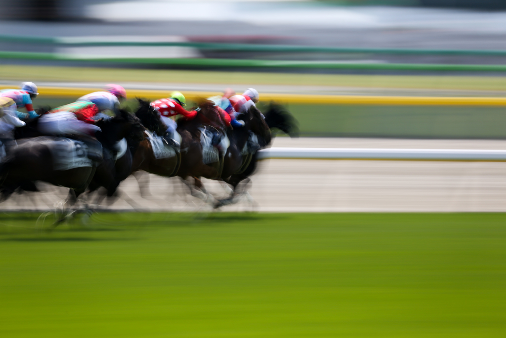 Racing Horses #2