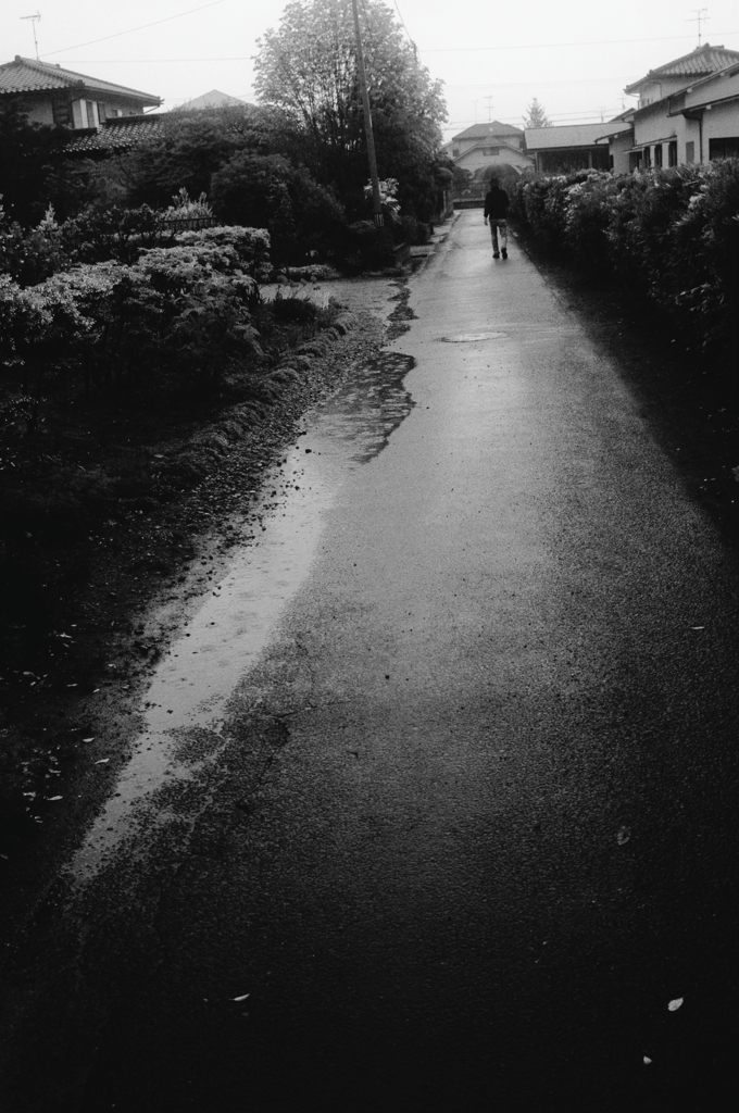 雨の道