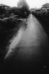 雨の道
