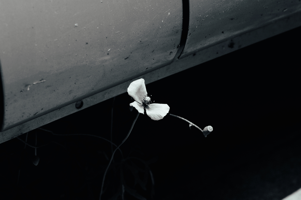 車の下