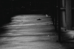 alone
