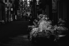 これも朝