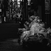 これも朝