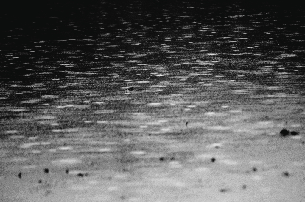 冷たい雨