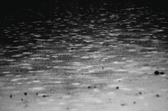 冷たい雨