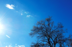 Sunshine