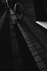 雨上がりの朝