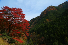 奥多摩