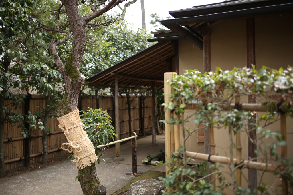 江戸たてもの園