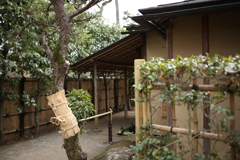江戸たてもの園