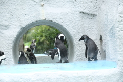 上野動物公園