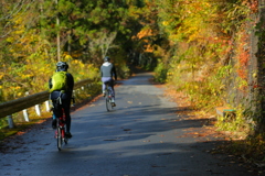 紅葉RoadTouring