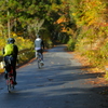 紅葉RoadTouring