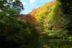 紅葉