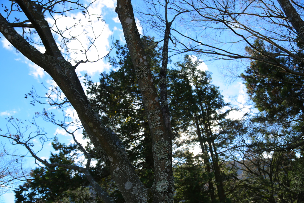 Nature