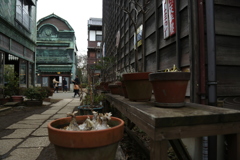 江戸たてもの園