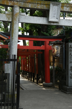 notitle
