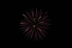 熱海花火