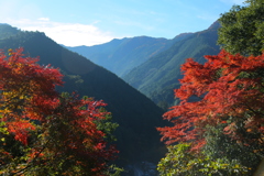 奥多摩むかし道