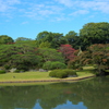 六義園