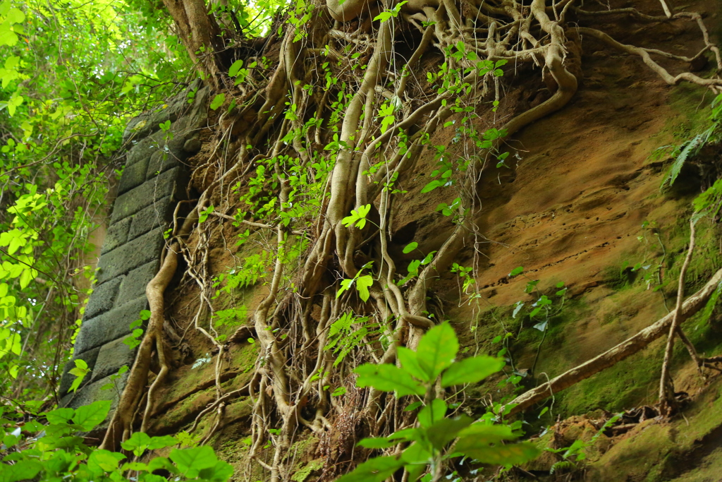 NatureGreen