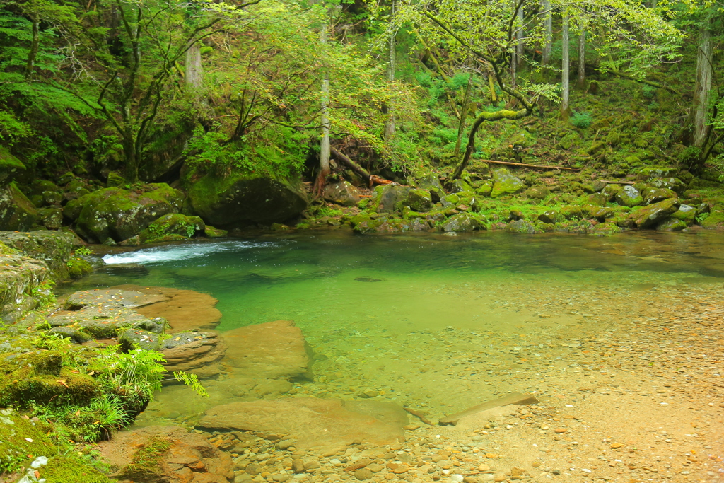 EmeraldGreen