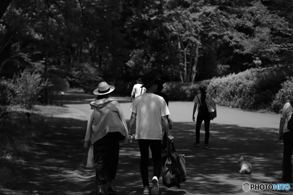 カップルの休日（立川国営昭和記念公園）