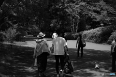カップルの休日（立川国営昭和記念公園）