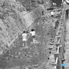 等々力渓谷