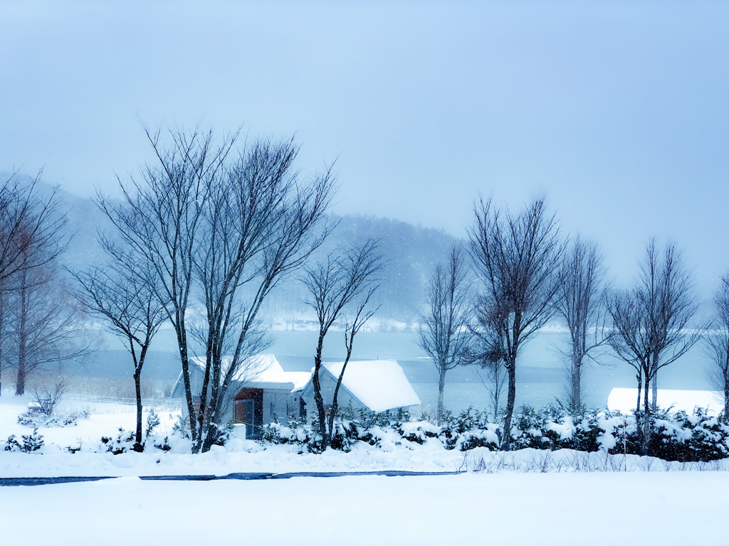 雪景色