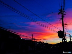 帰り道。