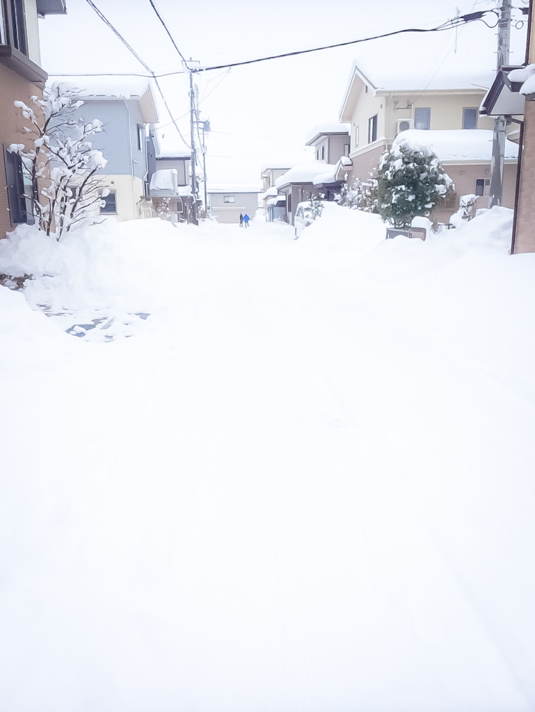 雪雪雪！！！