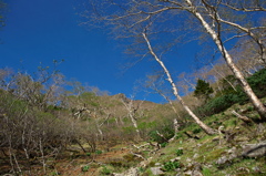 八ヶ岳ブルー