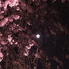 春の夜（2）