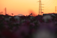 富士山見えたよ