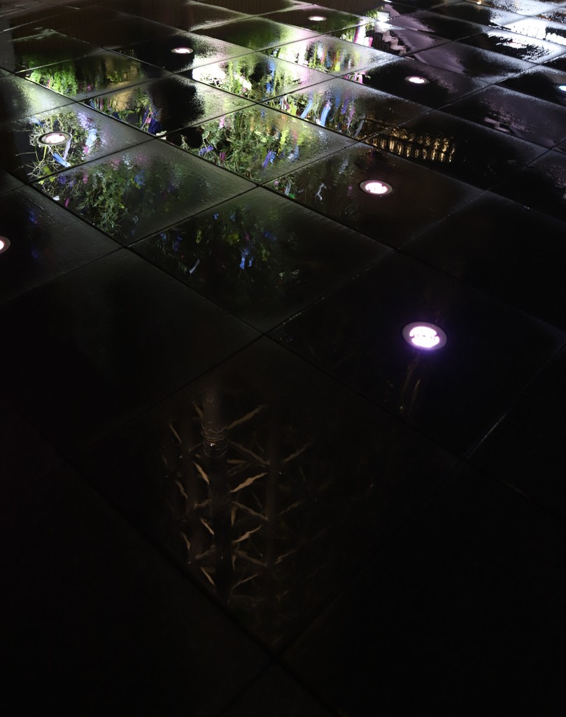 七夕～Reflection～