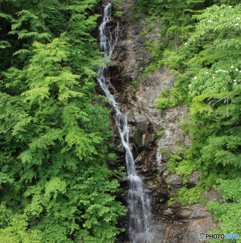 三頭山にて（3）