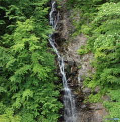 三頭山にて（3）