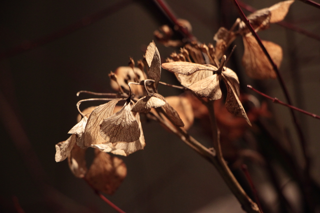 東山温泉旅情（3）